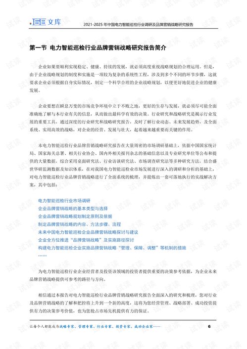 2021 2025年中国电力智能巡检行业调研及品牌营销战略研究报告.pdf